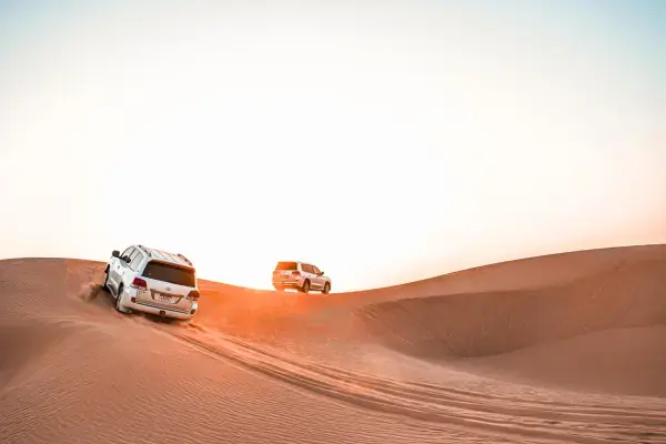 morning desert safari